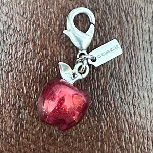 Coach Apple Charm F35469